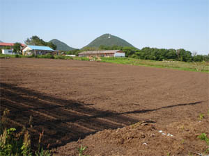 荒廃農地緑化３