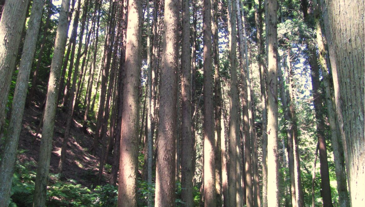 林業