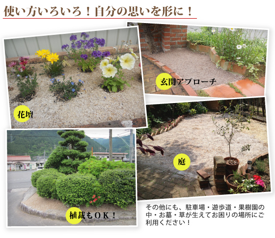 雑草
